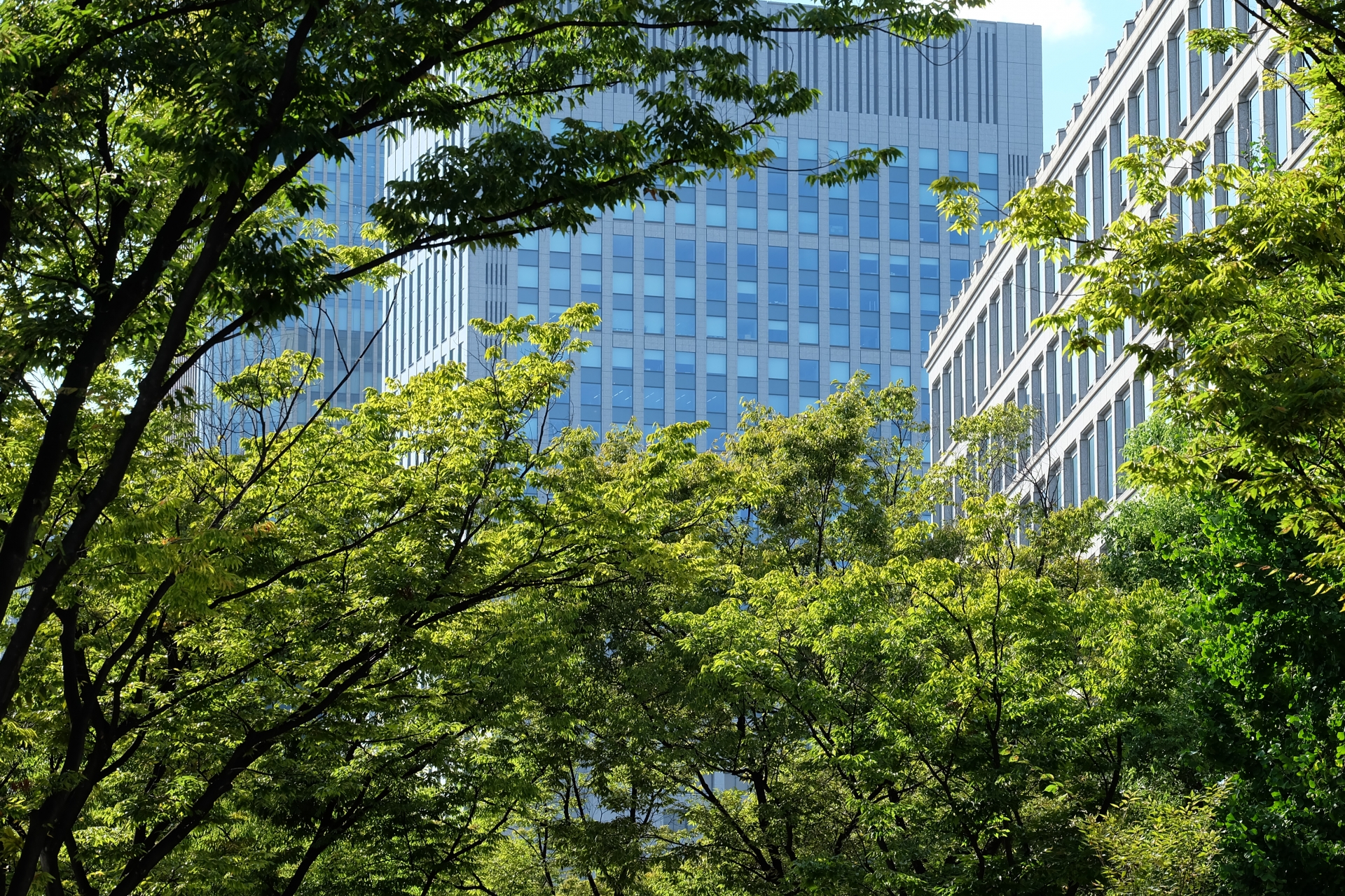 社会との調和